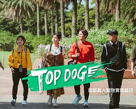 911吃瓜爆料《TOP DOG》免费在线观看